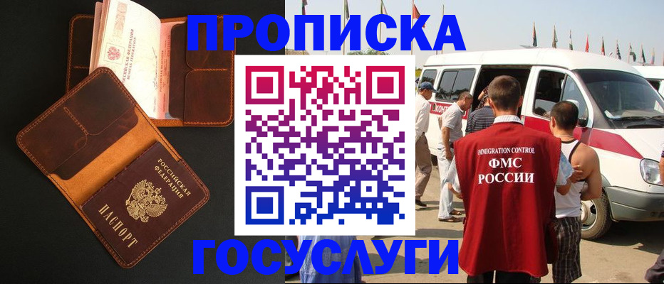 прописка законно в Купино